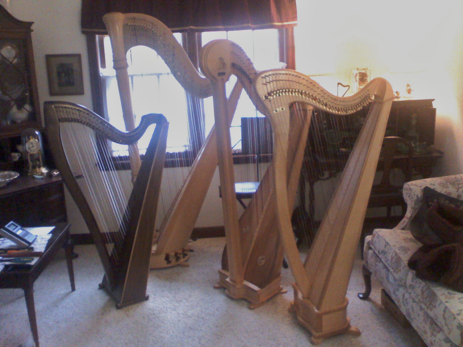How to Find a Harp for Rent Moss Harp Service
